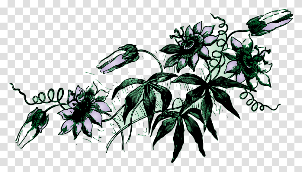 Download Flower Vine Image With No Background Gambar Bunga Yang Merambat, Floral Design, Pattern, Graphics, Art Transparent Png