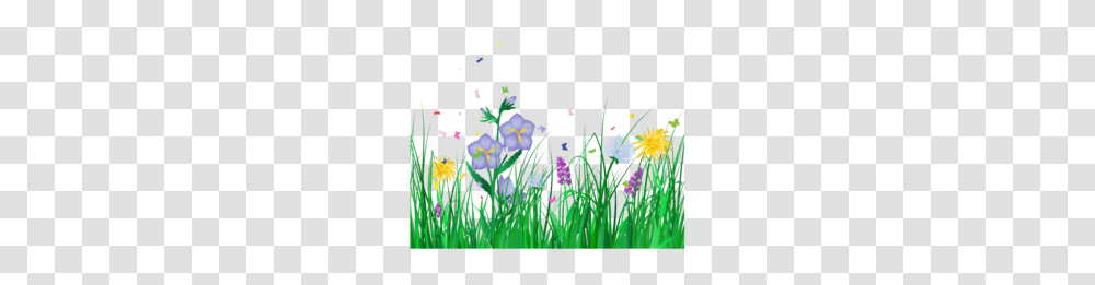 Download Flowers Background Clipart Flower Clip Art, Spring, Plant, Blossom, Iris Transparent Png