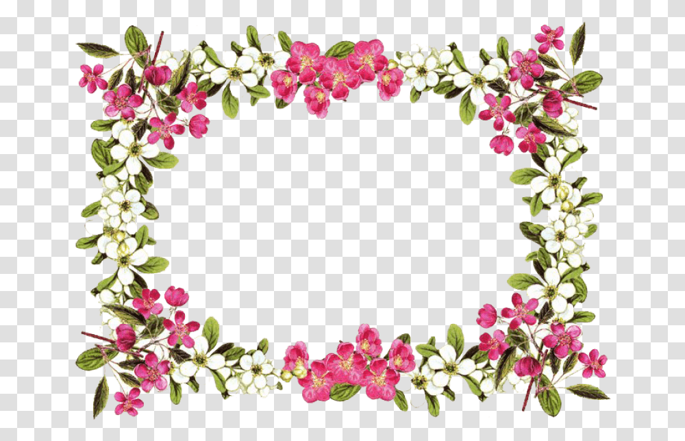 Download Flowers Borders Clipart Hq Flower Frame With Background, Plant, Blossom, Floral Design, Pattern Transparent Png