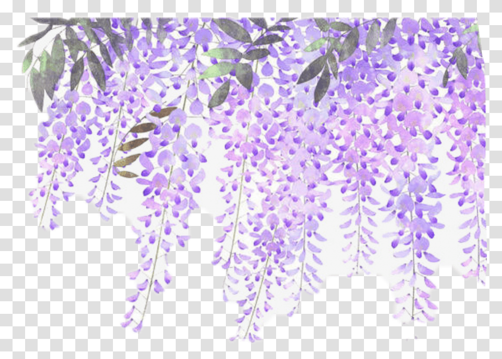 Download Flowers Vines Purple Sticker Lavender Flower Wisteria Flower, Plant, Blossom, Cherry Blossom, Petal Transparent Png