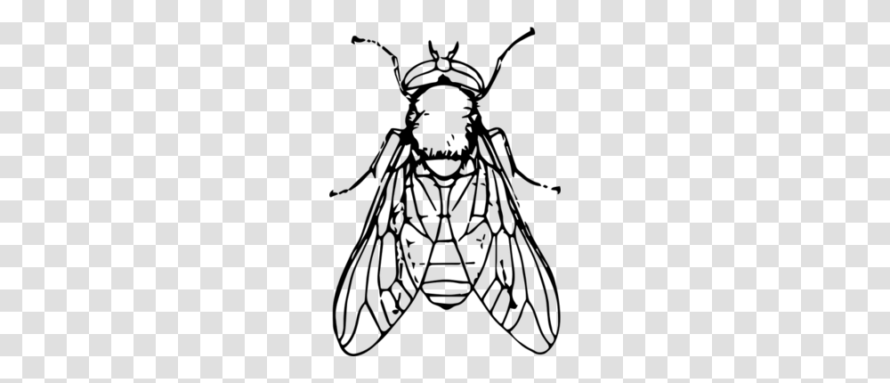 Download Fly Images Black And White Clipart Insect Clip Art, Gray, World Of Warcraft Transparent Png