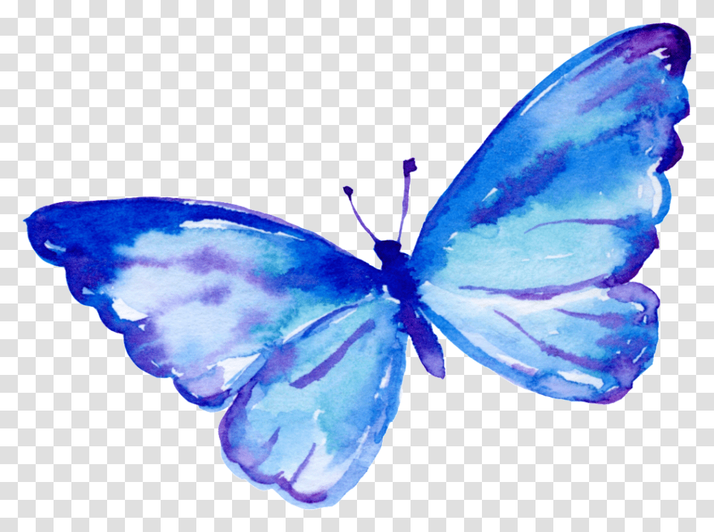 Download Flying Butterfly Cartoon Flying Blue Butterflies Animated, Purple, Plant, Flower, Insect Transparent Png
