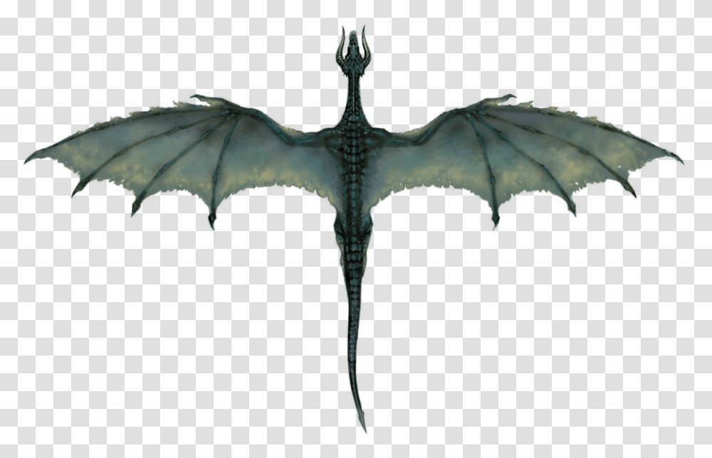 Download Flying Dragon Clipart Hq Image Freepngimg Black Dragon Top Down Transparent Png