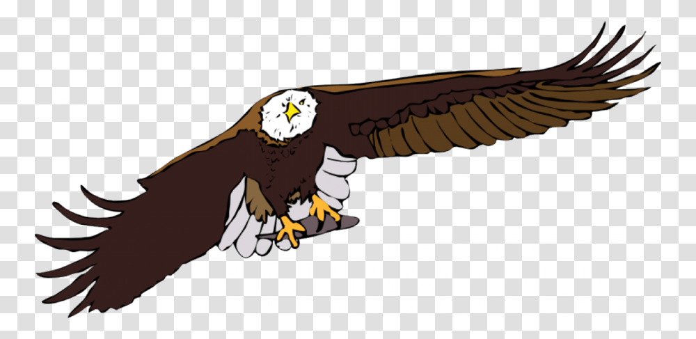 Download Flying Eagle Clipart Bald Eagle White Tailed Eagle Clip, Bird, Animal, Person, Human Transparent Png