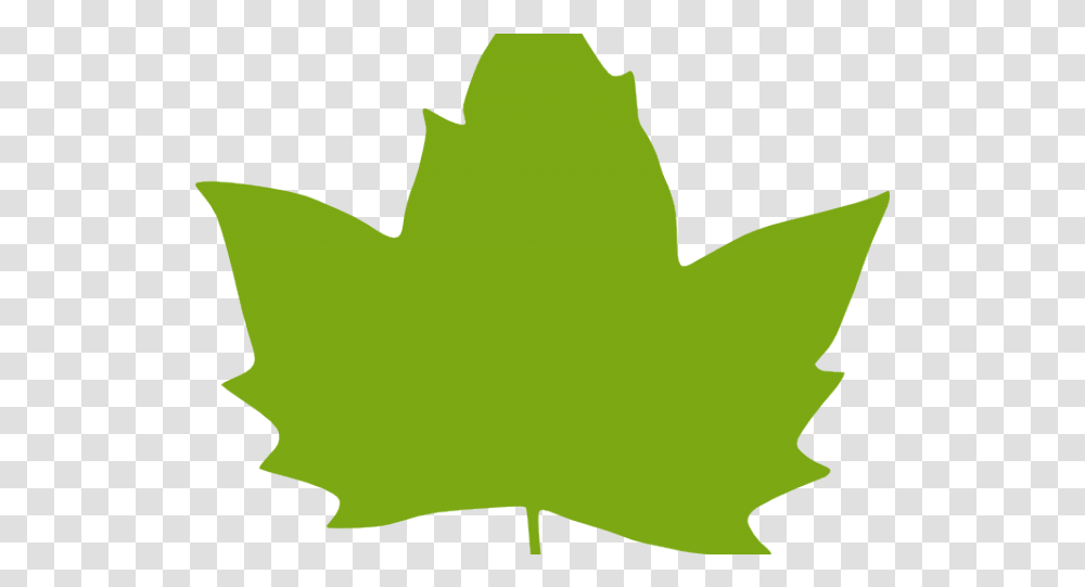 Download Foliage Clipart Paan Clipart Green Maple Leaf Plane Tree Leaf Vector, Plant Transparent Png