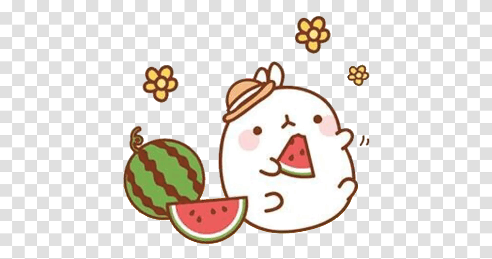 Download Food Eating Pusheen Watermelon Flower Free Mini Cute Sticker Molang, Plant, Fruit, Birthday Cake, Dessert Transparent Png