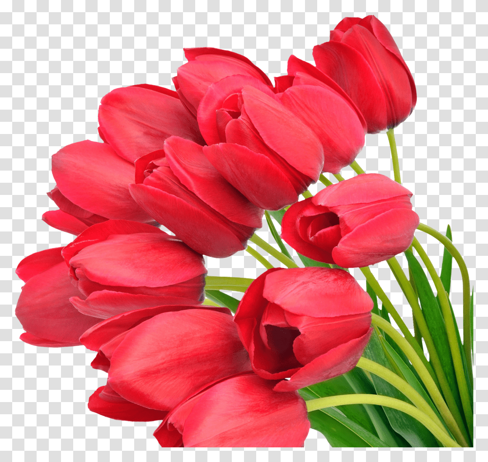 Download For Free Bouquet Of Flowers Icon S 8 Marta Mama Transparent Png