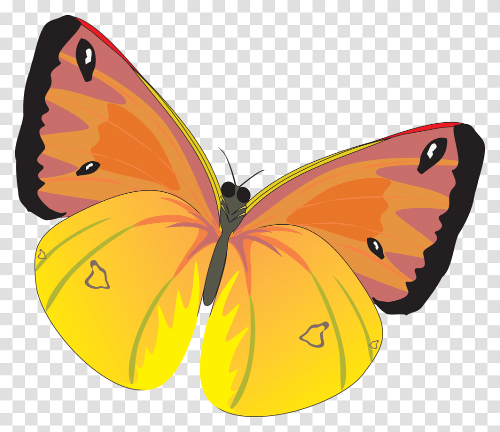 Download For Free Butterfly File Babochki Kartinki, Insect, Invertebrate, Animal, Pattern Transparent Png
