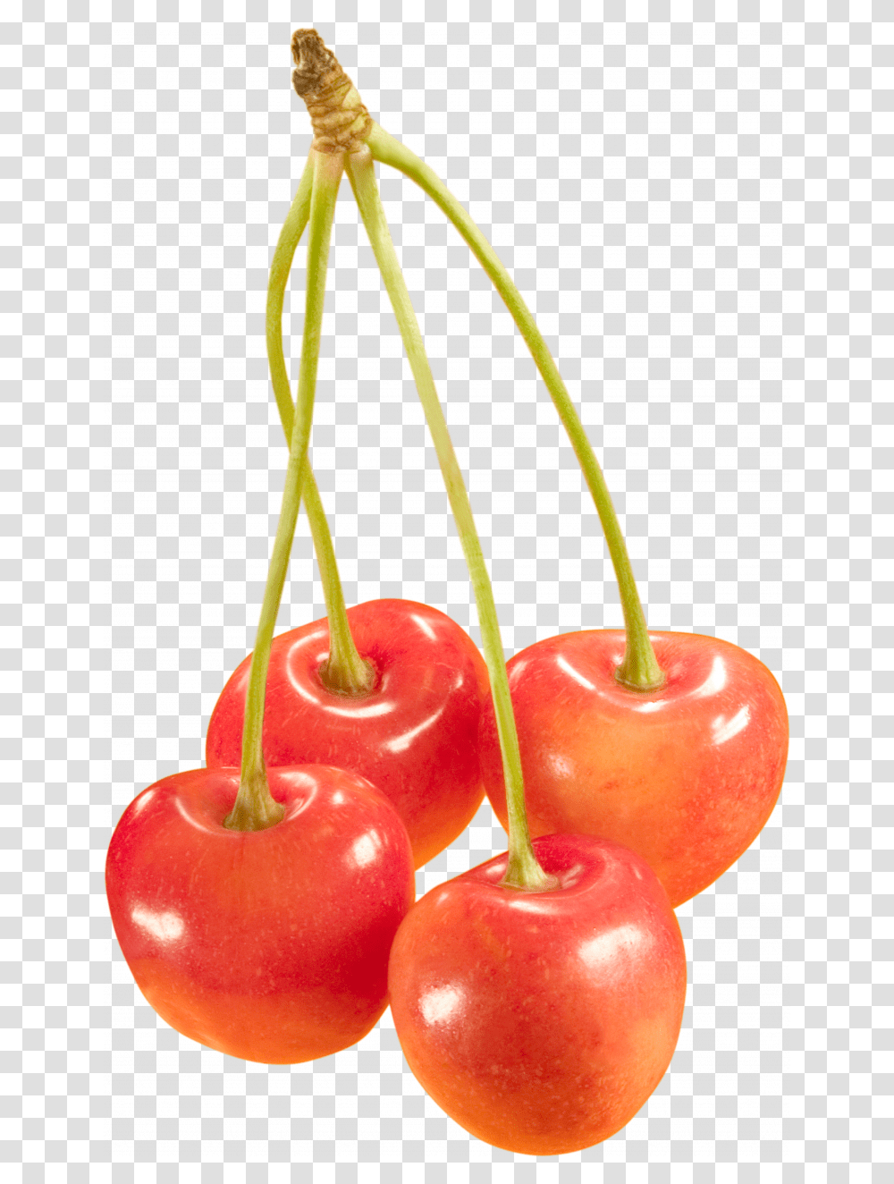 Download For Free Cherry Image Without Background Chereshnya, Plant, Fruit, Food Transparent Png