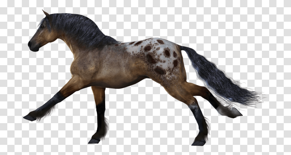 Download For Free Horse Image Horse Running No Background, Mammal, Animal, Stallion, Colt Horse Transparent Png