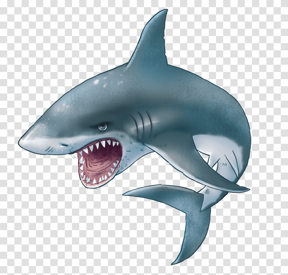 Download For Free Sharks Image Background Great White Shark Clipart, Sea Life, Fish, Animal, Mammal Transparent Png