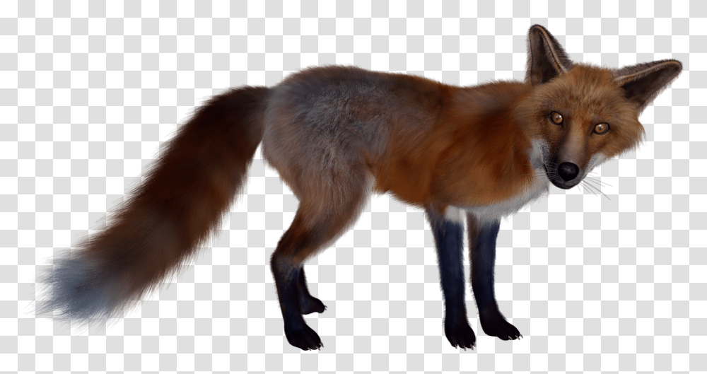 Download Fox Images Backgrounds Figura De Un Zorro, Dog, Pet, Canine, Animal Transparent Png