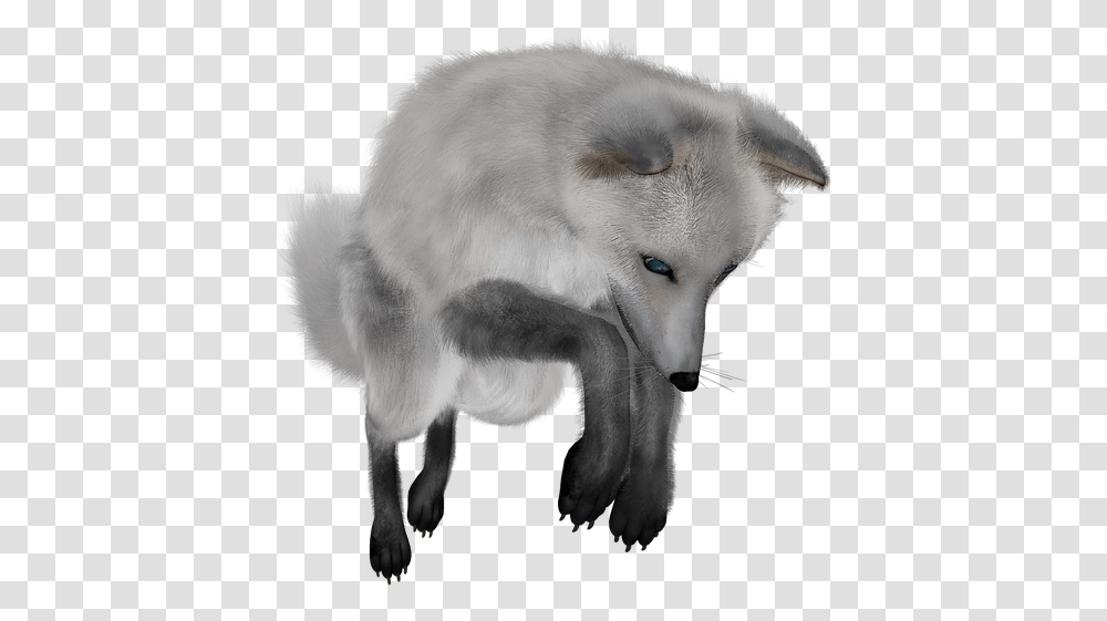 Download Fox Images Backgrounds White Fox No Background, Mammal, Animal, Wildlife, Dog Transparent Png