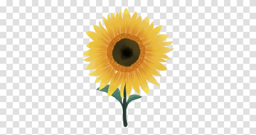 Download Free Aesthetic Sunflower Pic Dlpngcom Engine Gear, Plant, Blossom, Daisy, Daisies Transparent Png