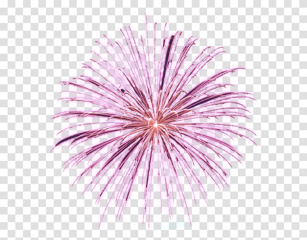 Download Free Animated Fireworks Gifs Clipart And Firework Background Animated Fireworks Gif, Plant, Flower, Purple, Outdoors Transparent Png