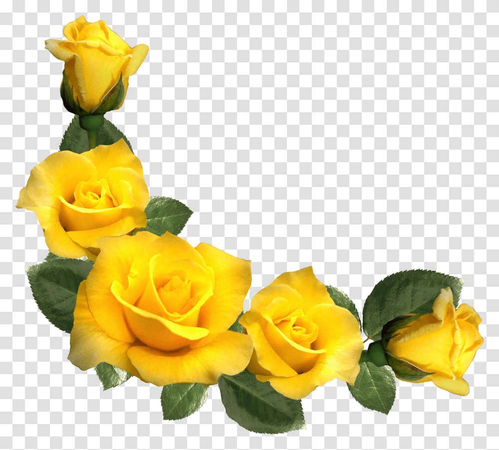 Download Free Beautiful Yellow Roses Decor Clipart Border Yellow Flower Transparent Png