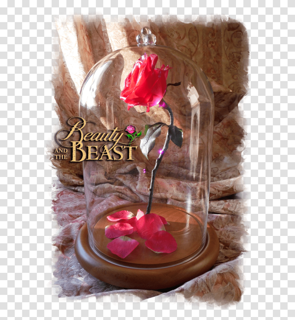 Download Free Beauty And The Beast Rose In Glass Beauty Artificial Flower, Sweets, Food, Petal, Plant Transparent Png