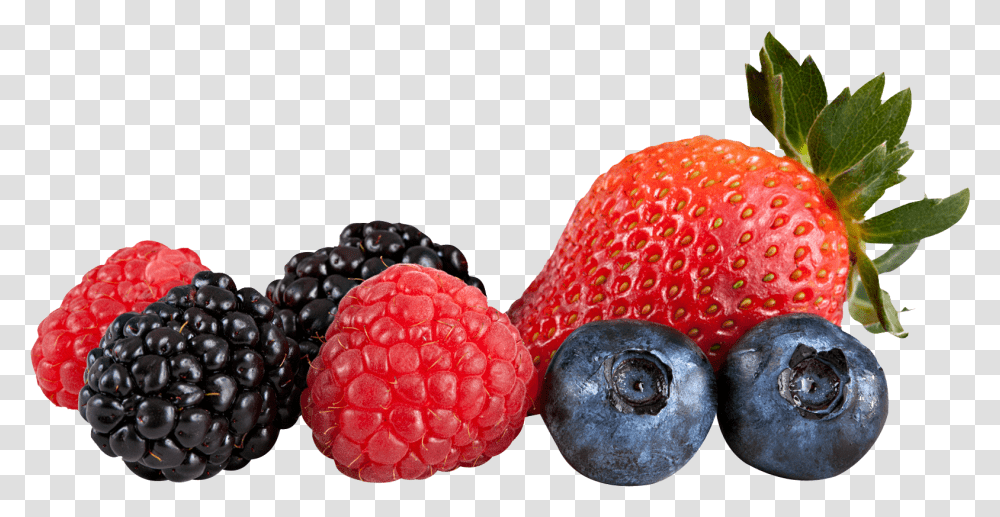 Download Free Berries Icon Berry Clip Art, Plant, Blueberry, Fruit, Food Transparent Png