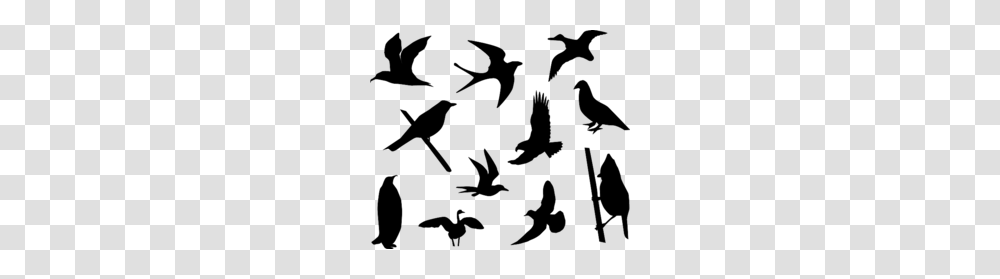 Download Free Bird Silhouette Vector Clipart Bird Clip Art, Blackboard, Poster, Advertisement Transparent Png