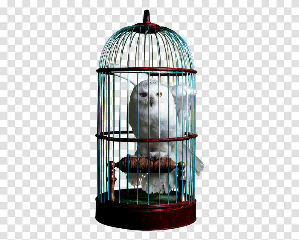 Download Free Birdcage Image Dlpngcom Harry Potter Hedwig In Cage, Beak, Animal, Cockatoo, Parrot Transparent Png