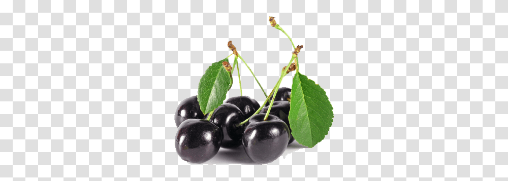 Download Free Black Cherry Image Dlpngcom Black Cherry, Plant, Fruit, Food Transparent Png