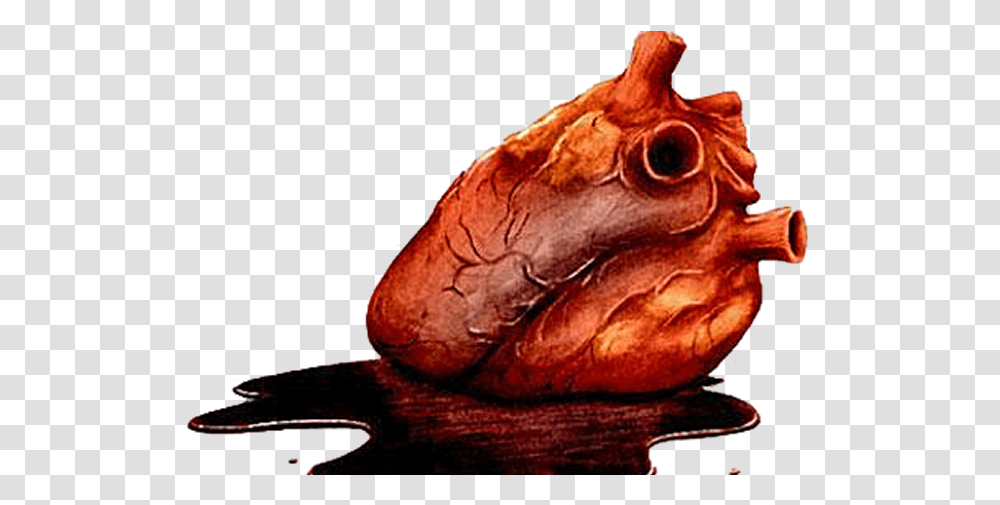 Download Free Bloody Heart Tell Tale Heart, Plant, Bonfire, Animal, Food Transparent Png