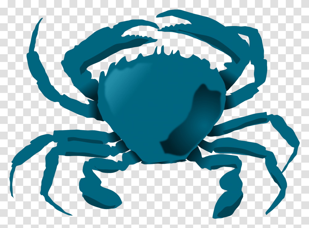 Download Free Blue Crab Clipart Blue Crab, Seafood, Sea Life, Animal, Person Transparent Png