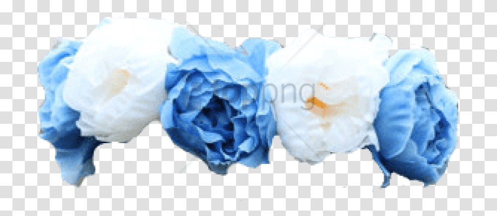 Download Free Blue Flower Crown Blue Flowers Crown, Diaper, Plant, Blossom Transparent Png