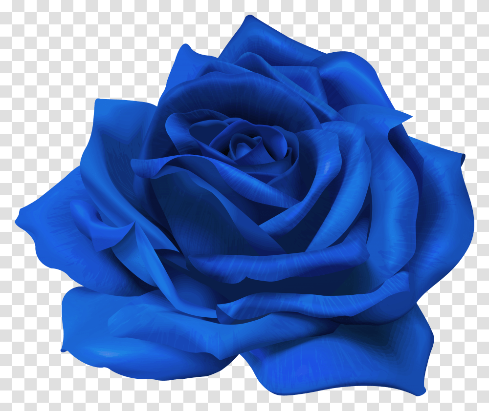 Download Free Blue Flower Rose Purple Flower Transparent Png