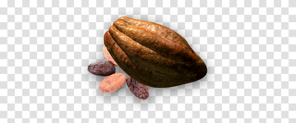 Download Free Cacao Cacao, Fudge, Chocolate, Dessert, Food Transparent Png
