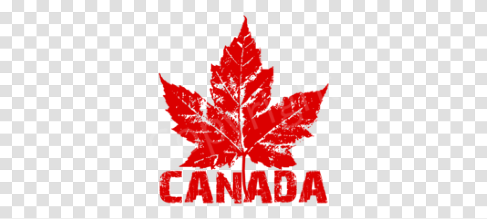 Download Free Canada Maple Leaf Stickers Canada, Plant, Poster, Advertisement, Tree Transparent Png