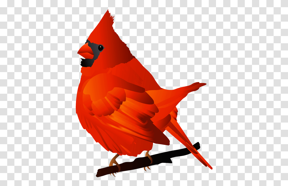 Download Free Cardinal Hd Photo Clipart Cardinal Bird Clip Art, Animal, Poultry, Fowl Transparent Png