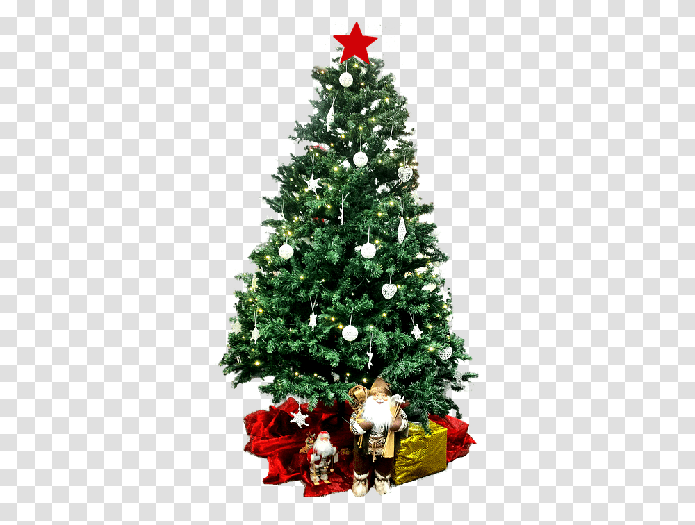 Download Free Christmas Backgroundtreetransparent Christmas Day, Christmas Tree, Ornament, Plant, Person Transparent Png