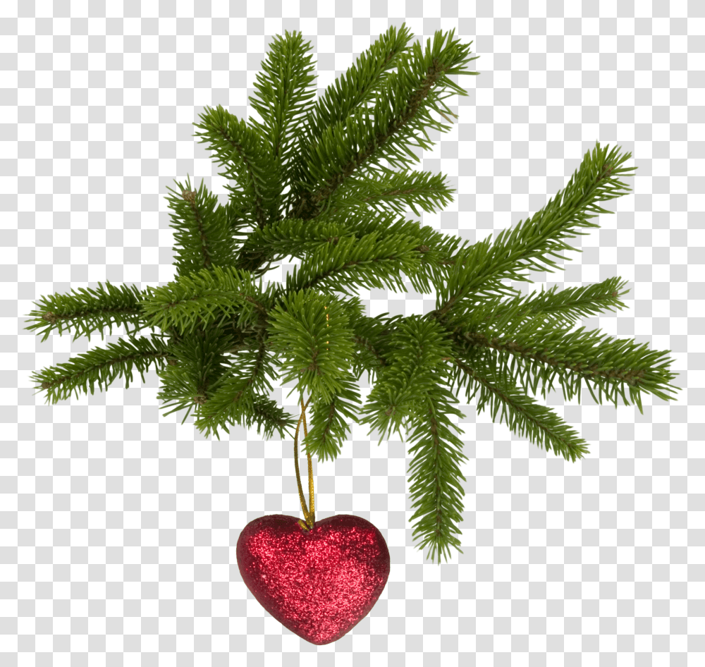 Download Free Christmas Image Icon Favicon Freepngimg Christmas Heart Background, Plant, Tree, Leaf, Fruit Transparent Png