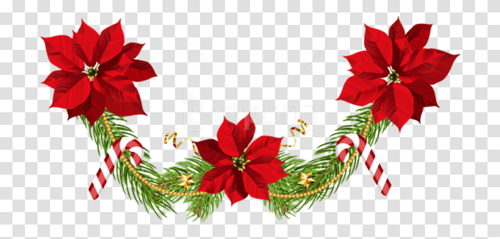 Download Free Christmas Poinsettias Clip Art Christmas Poinsettias, Graphics, Floral Design, Pattern, Plant Transparent Png