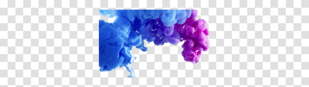 Download Free Com Images Color In Water Gifs, Plant, Flower, Blossom, World Of Warcraft Transparent Png