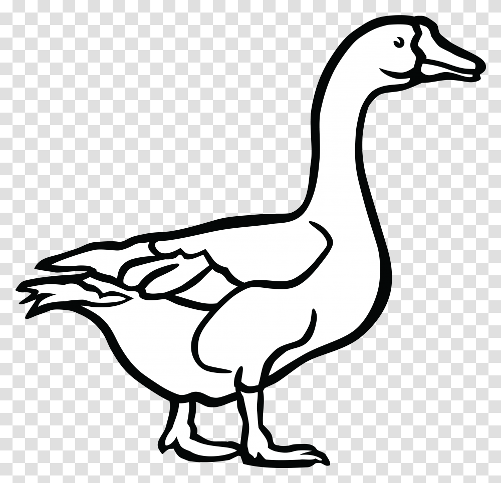 Download Free Cool Duck Duck Black And White, Goose, Bird, Animal, Antelope Transparent Png