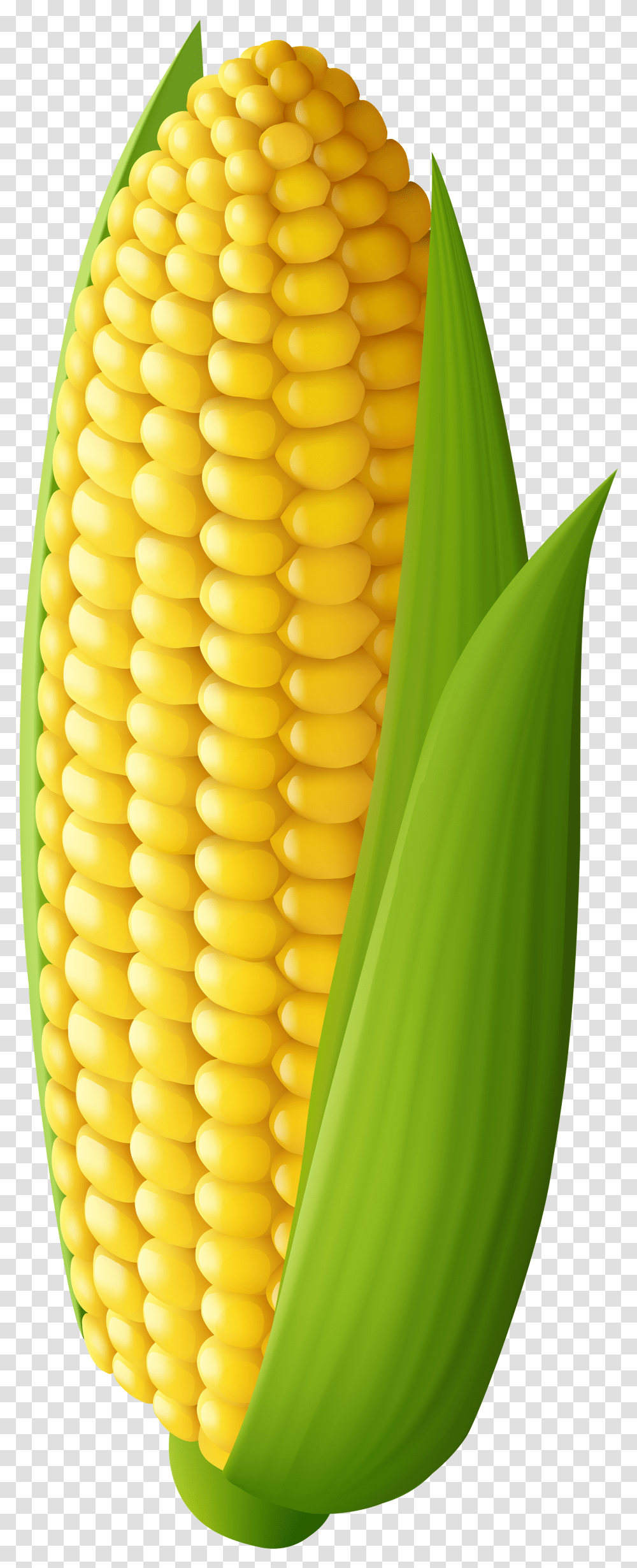 Download Free Corn Background Corn On The Cob Clip Art Transparent Png