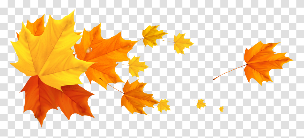 Download Free Deco Fall Leafs Aesthetic Artsy Instagram Divider, Plant, Tree, Maple, Maple Leaf Transparent Png