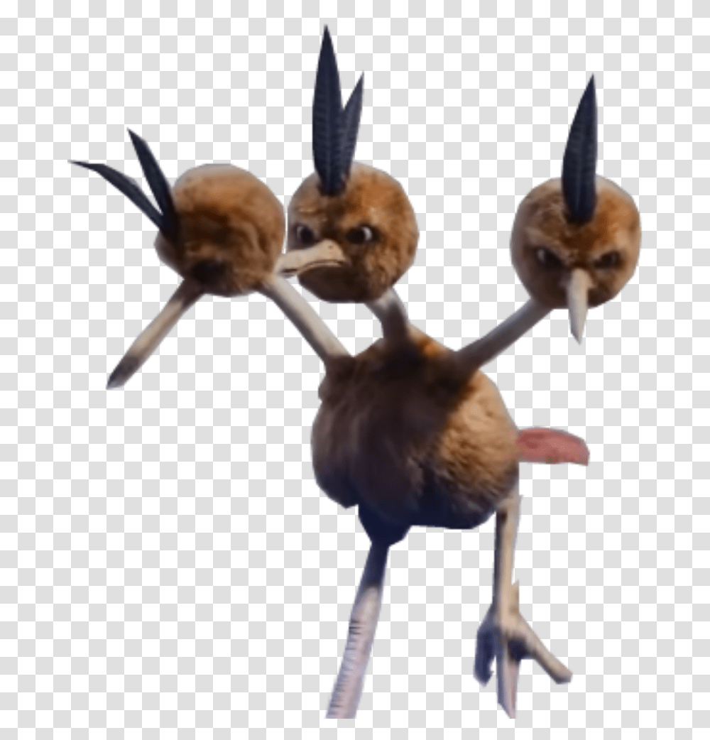 Download Free Detective Pikachu Movi 552469 Pokemon Detective Pikachu, Animal, Flying, Bird, Wildlife Transparent Png