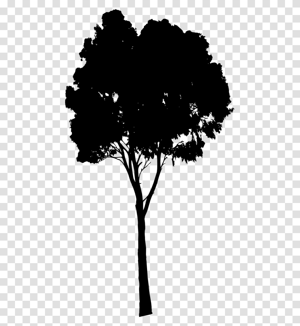 Download Free Dlpng Com Tree Silhouette, Plant, Green, Leaf, Tree Trunk Transparent Png