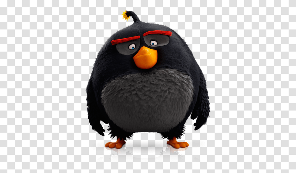 Download Free Evolution Angry Beak Action Epic Birds Penguin Angry Birds Characters, Animal, Puffin, King Penguin, Blackbird Transparent Png