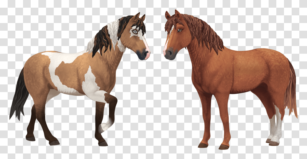 Download Free Fan Art Resources Star Stable Star Stable Curly Horse, Mammal, Animal, Colt Horse, Stallion Transparent Png