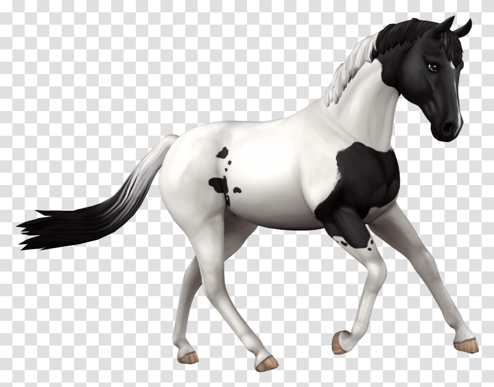 Download Free Fan Art Resources Star Stable Star Stable Horse, Mammal, Animal, Andalusian Horse, Stallion Transparent Png