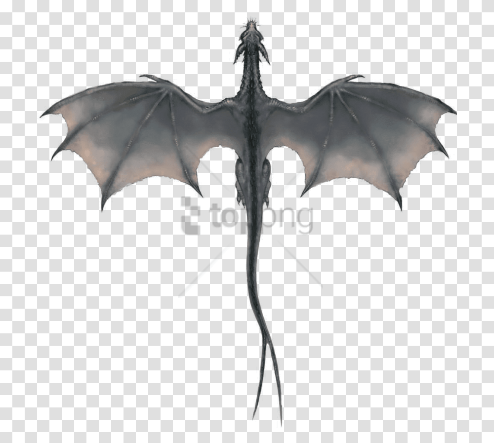 Download Free Gray Dragon Image Flying Game Of Thrones Dragons, Cross, Symbol Transparent Png