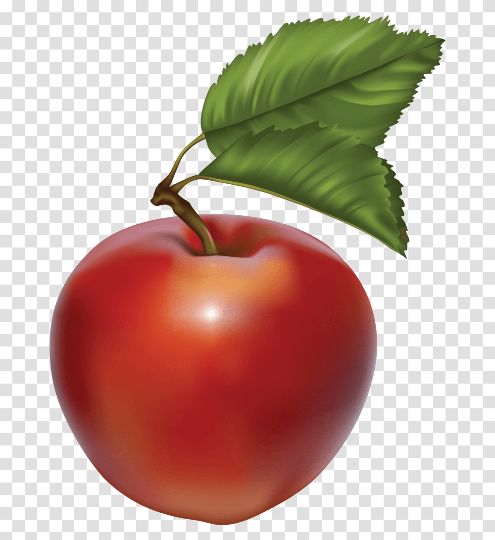 Download Free Green Apple Image Dlpngcom Fruit Vector, Plant, Food, Cherry, Balloon Transparent Png