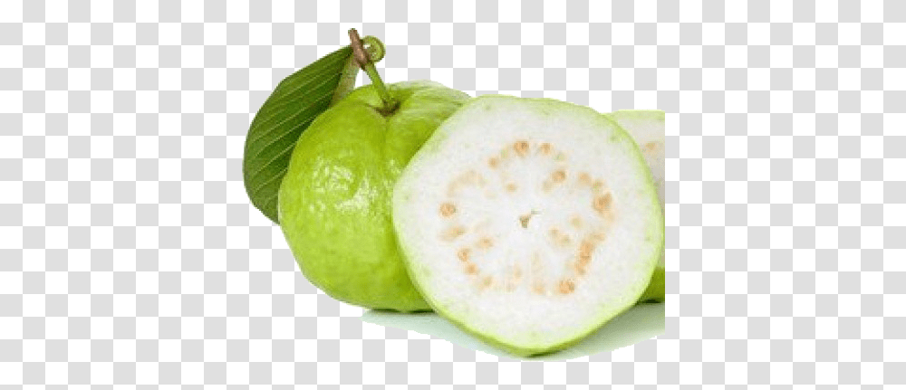 Download Free Guava Photo Fresh Guava, Tennis Ball, Sport, Sports, Plant Transparent Png