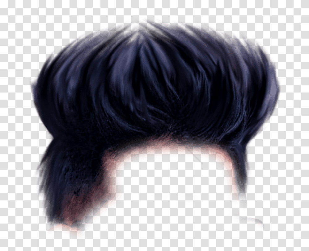 Download Free Hair Background Boy Image With Hairstyle Sticker For Picsart, Mammal, Animal, Hog, Person Transparent Png