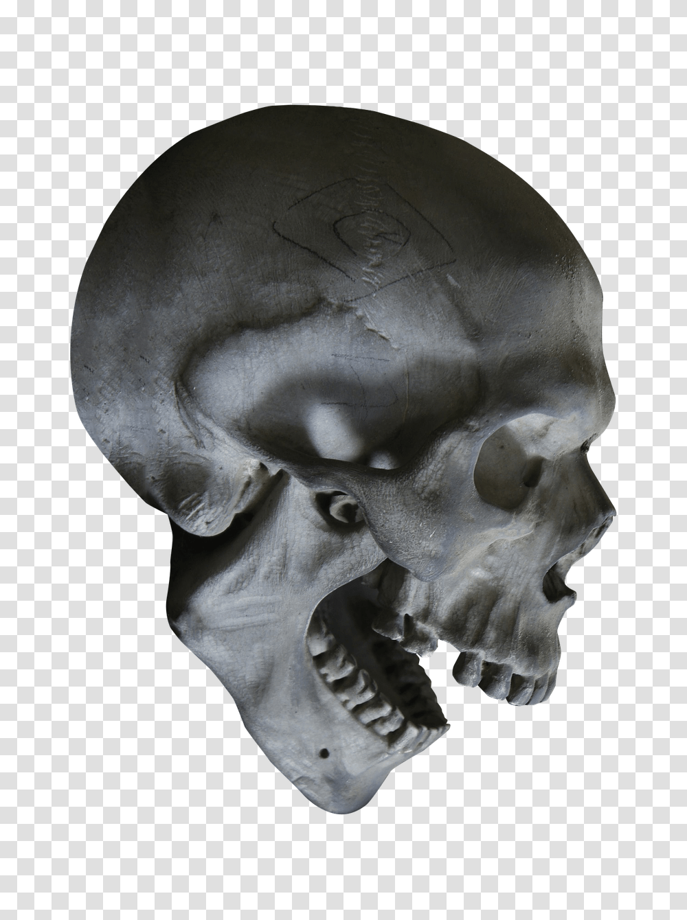Download Free Halloween Skull Skull Head, Skeleton, Soil, Alien Transparent Png