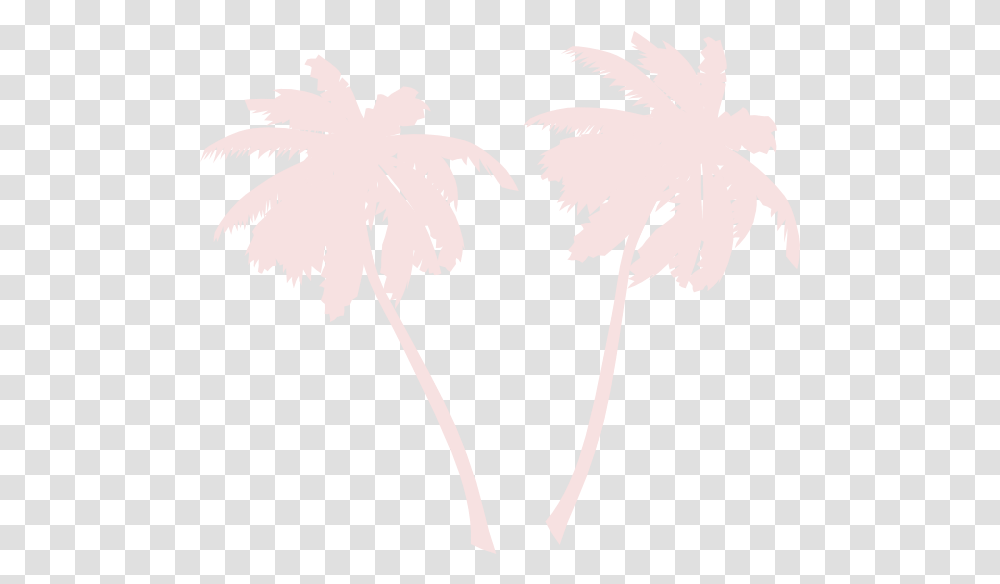 Download Free Hd White Palm Tree Outline Vector White Palm Tree, Leaf, Plant, Flower, Blossom Transparent Png